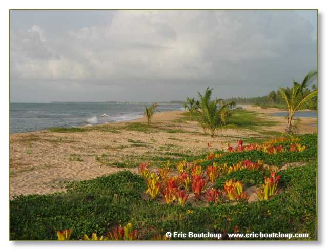 070_BRESIL_Praya_da_forte