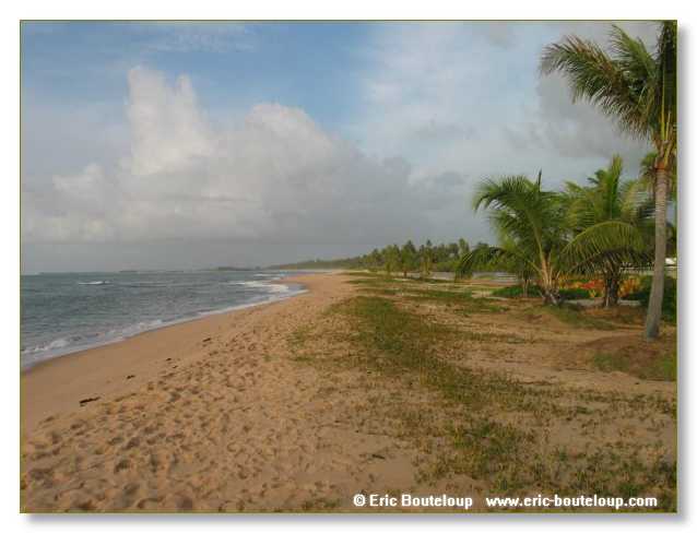 071_BRESIL_Praya_da_forte