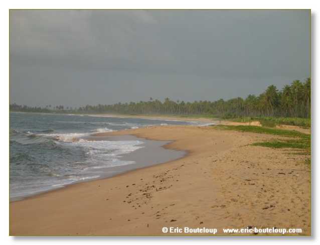 072_BRESIL_Praya_da_forte