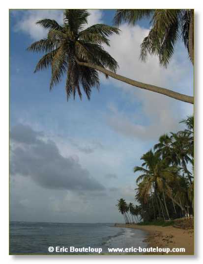 075_BRESIL_Praya_da_forte