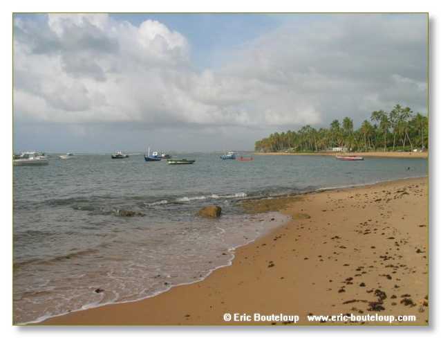 081_BRESIL_Praya_da_forte