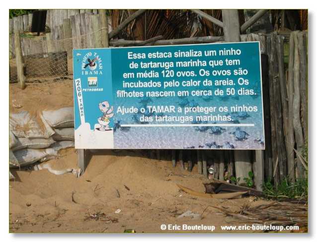 084_BRESIL_Praya_da_forte