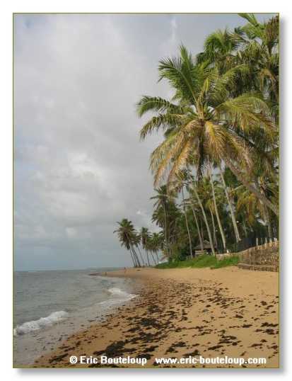 088_BRESIL_Praya_da_forte