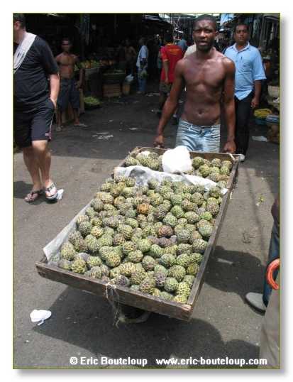 305_BRESIL_Salvador_de_Baya