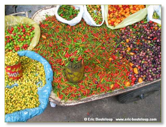 308_BRESIL_Salvador_de_Baya