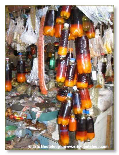 311_BRESIL_Salvador_de_Baya