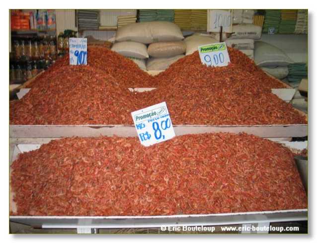 321_BRESIL_Salvador_de_Baya