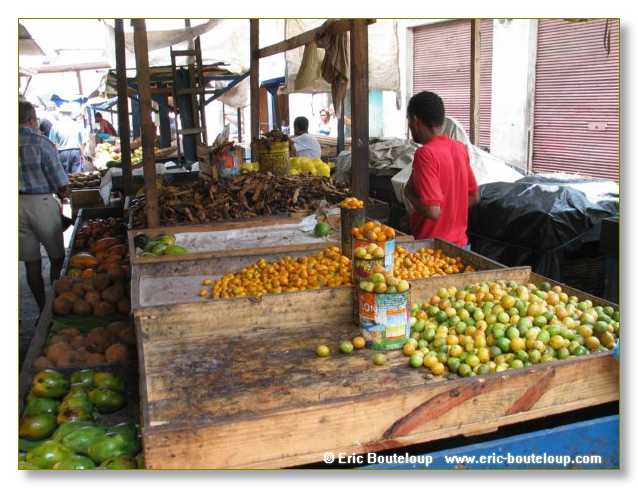 324_BRESIL_Salvador_de_Baya