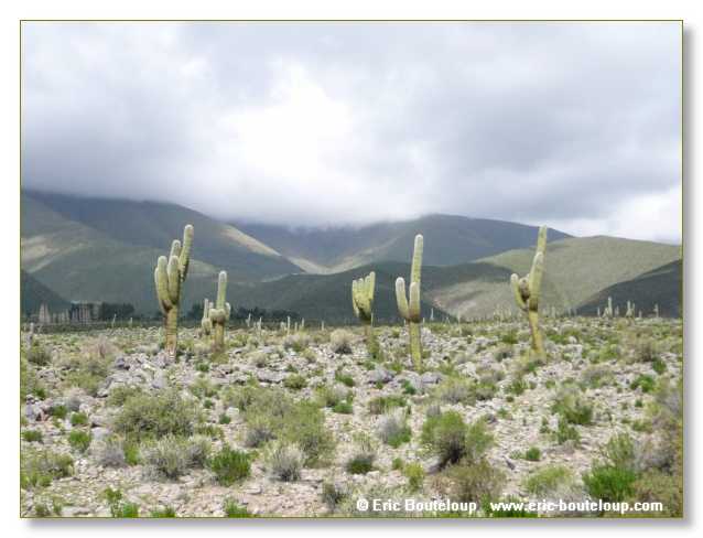 117_CHILI_ARGENTINE_2007_02