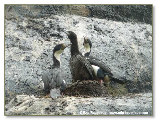 224_CHILI_ARGENTINE_2007_02