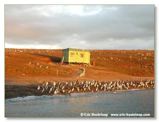 231_CHILI_ARGENTINE_2007_02