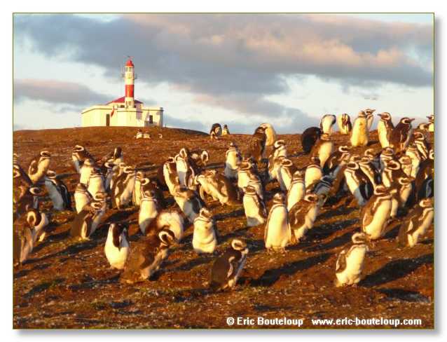 232_CHILI_ARGENTINE_2007_02