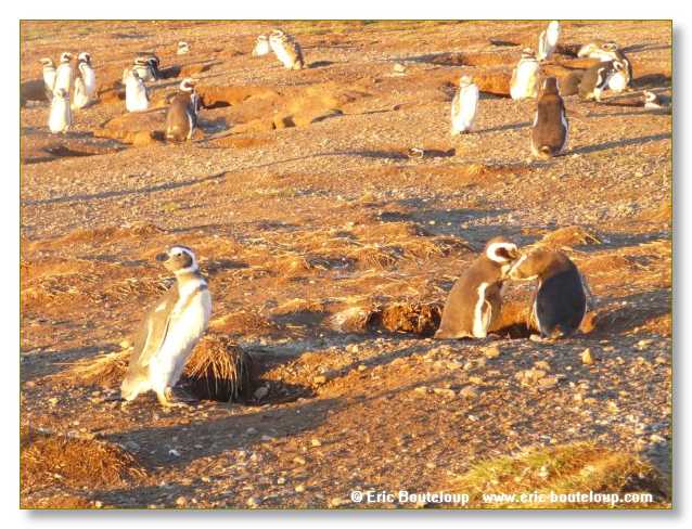 237_CHILI_ARGENTINE_2007_02