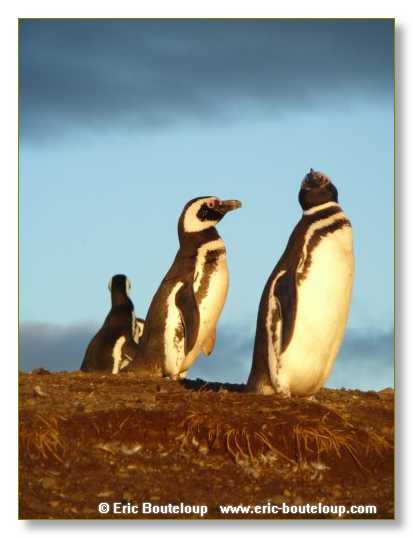 239_CHILI_ARGENTINE_2007_02