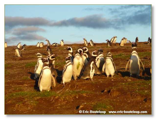 242_CHILI_ARGENTINE_2007_02