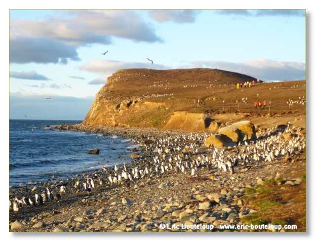 243_CHILI_ARGENTINE_2007_02