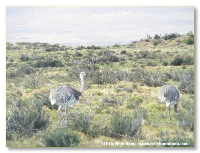 265_CHILI_ARGENTINE_2007_02