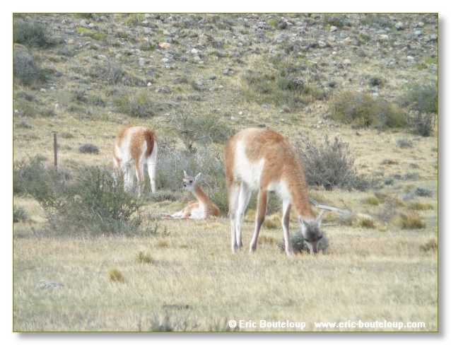 267_CHILI_ARGENTINE_2007_02