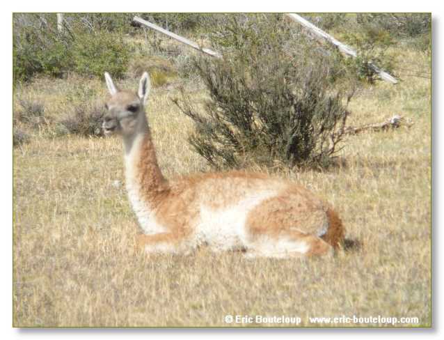 268_CHILI_ARGENTINE_2007_02