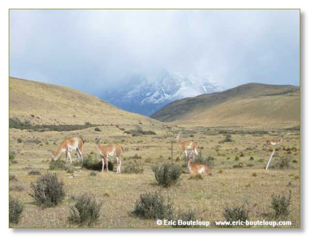 269_CHILI_ARGENTINE_2007_02