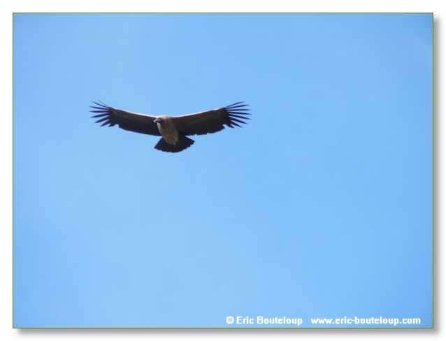 273_CHILI_ARGENTINE_2007_02