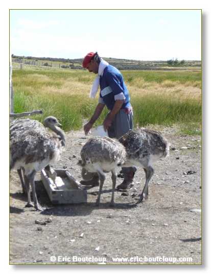 281_CHILI_ARGENTINE_2007_02