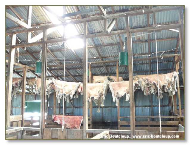 283_CHILI_ARGENTINE_2007_02