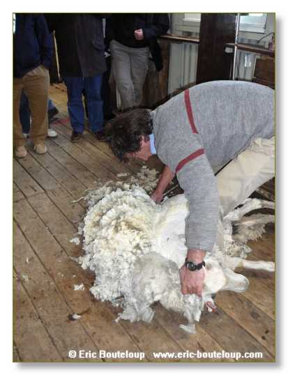 284_CHILI_ARGENTINE_2007_02