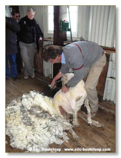 285_CHILI_ARGENTINE_2007_02