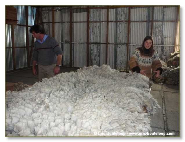 286_CHILI_ARGENTINE_2007_02