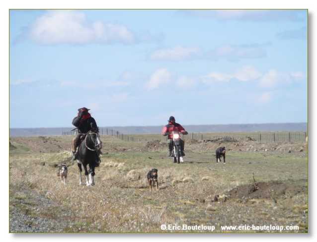 289_CHILI_ARGENTINE_2007_02