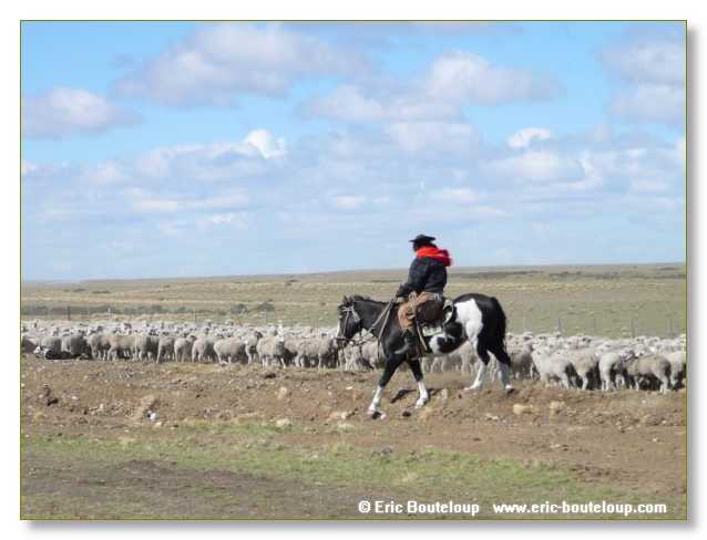 291_CHILI_ARGENTINE_2007_02