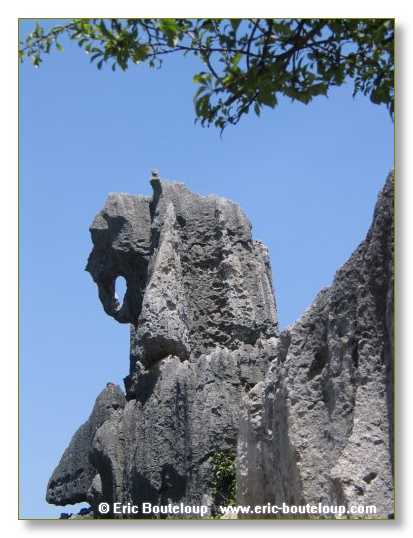 336_CHINE_Chine_du_centenaire_2006_Foret_des_Pierres