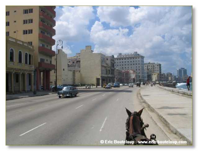 114_CUBA_2004