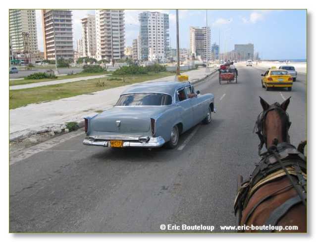 155_CUBA_2004