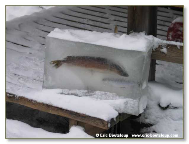 009_FINLANDE_Rovaniemi_2003