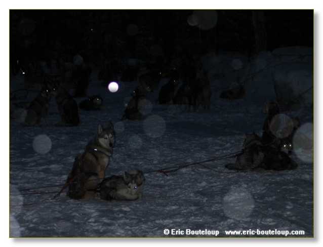 117_FINLANDE_Rovaniemi_2003