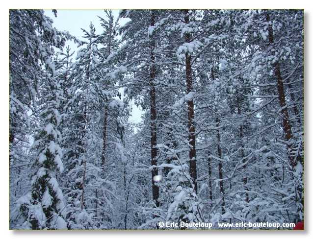 169_FINLANDE_Rovaniemi_2003