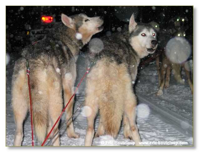 240_FINLANDE_Rovaniemi_2003