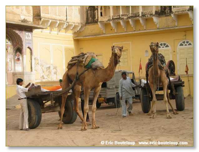 067_INDE_2003_Mars_Delhi_Mandawa