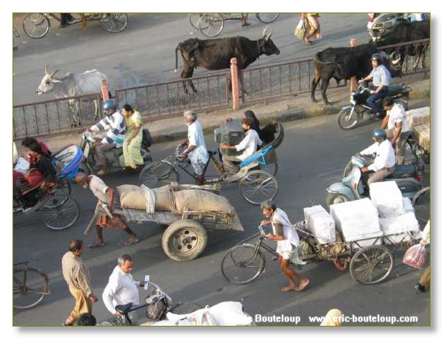 136_INDE_2003_Mars_Jaipur