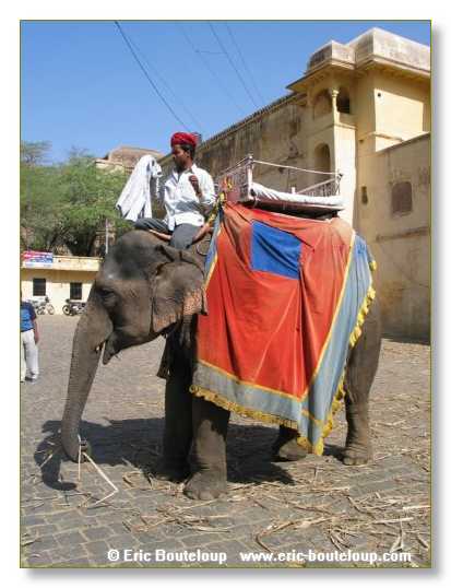 209_INDE_2003_Mars_Samode_Jaipur