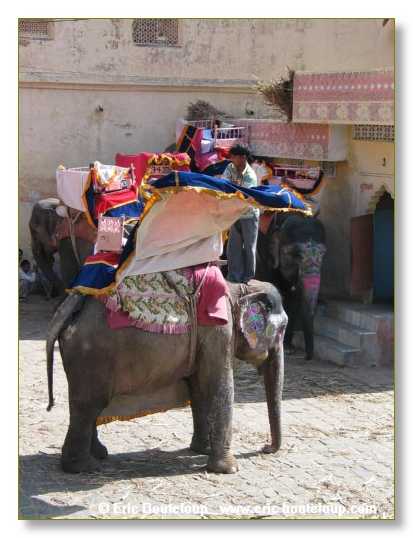 211_INDE_2003_Mars_Samode_Jaipur