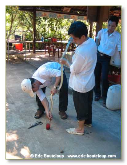 007_Splendeurs_d_Indochine_2005_02_03