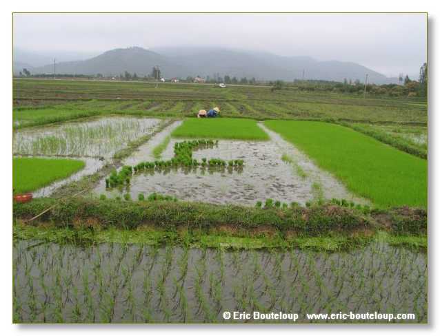 041_Splendeurs_d_Indochine_2005_02_03