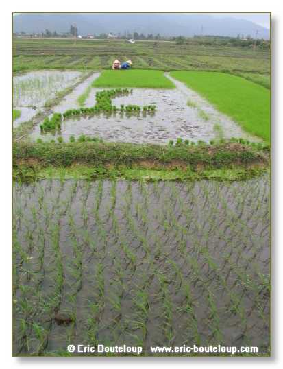 042_Splendeurs_d_Indochine_2005_02_03