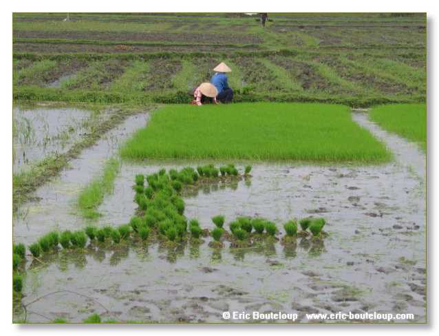 043_Splendeurs_d_Indochine_2005_02_03
