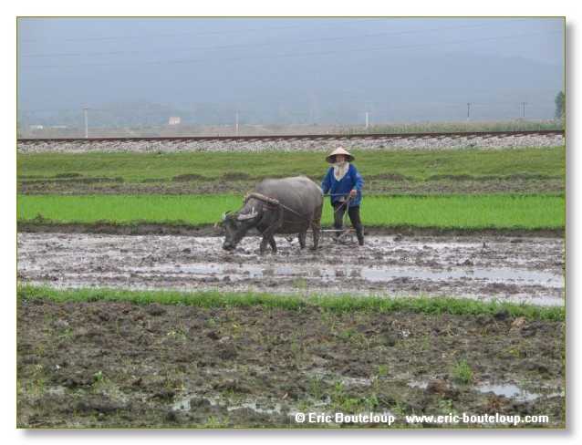 047_Splendeurs_d_Indochine_2005_02_03