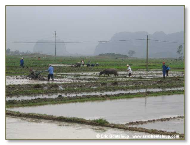 049_Splendeurs_d_Indochine_2005_02_03