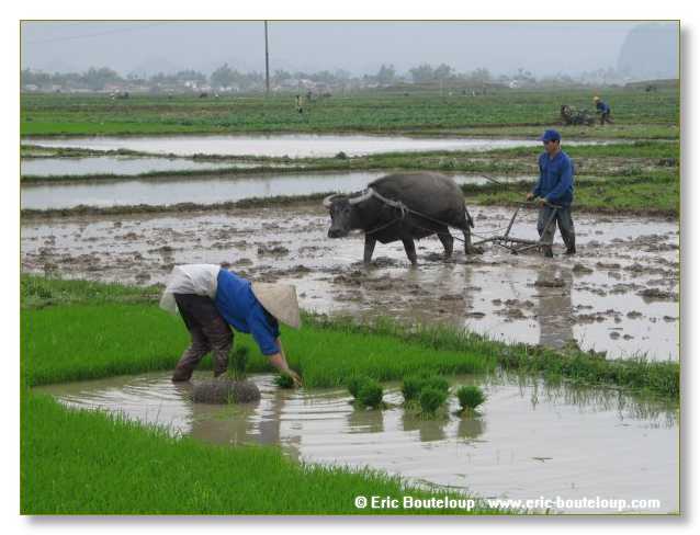 051_Splendeurs_d_Indochine_2005_02_03